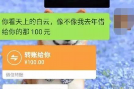 衡东要账公司更多成功案例详情